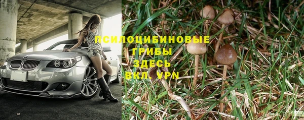 синтетический гашиш Алексин