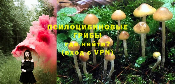 синтетический гашиш Алексин